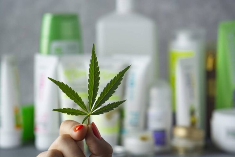 Les erreurs à éviter absolument lors de l’achat de vos produits CBD